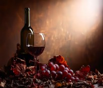 2025���Ї��t���ИI(y��)ȫ����������Ƥ�����t���ИI(y��)�I�N��λ-�t���ИI(y��)������ԃ-�ɶ�������ԃ��˾��